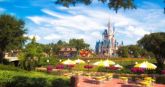 Disney Magic Kingdom Attractions