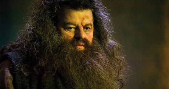 Harry Potter Hagrid Trivia