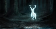 Harry Potter Patronuses Trivia