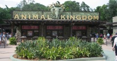 Disney Animal Kingdom Trivia