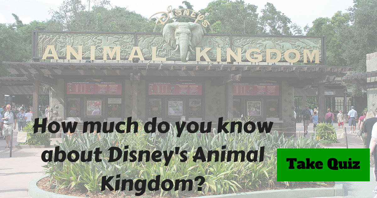 Disney Animal Kingdom Trivia