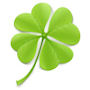 Luck O The Irish Quiz