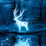 Which Harry Potter Patronus Are You