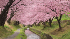 Spring Trivia Quiz Trivia